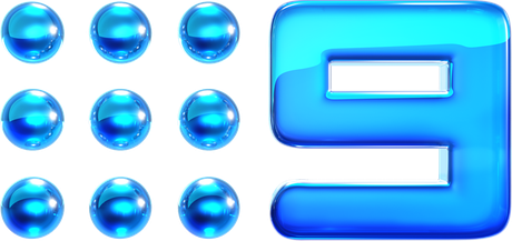 Nine2012_Glossed_Logo
